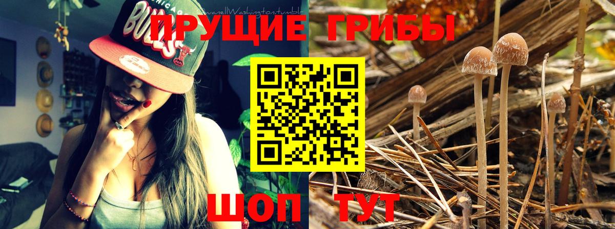Симферополь  Галлюциногенные грибы MAGIC MUSHROOMS  Вход с VPN  Псилоцибиновые грибы MAGIC MUSHROOMS 